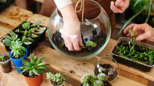 Why It’s Important to Have at Least One Hobby