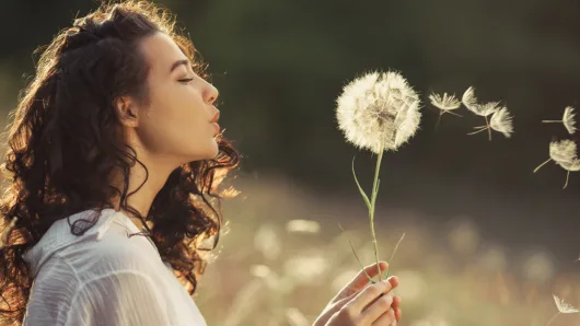 Best Remedies for Seasonal Allergies