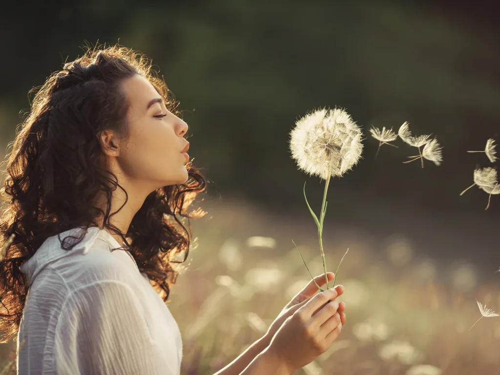 Best Remedies for Seasonal Allergies