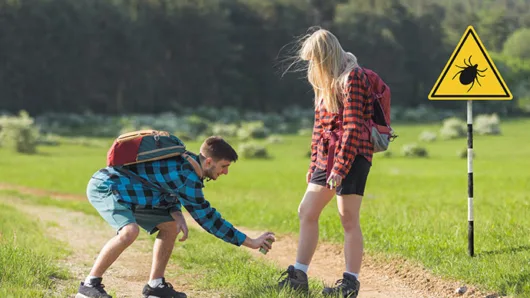 Recognizing the Signs of Lyme Disease and Other Tick-Borne Illnesses